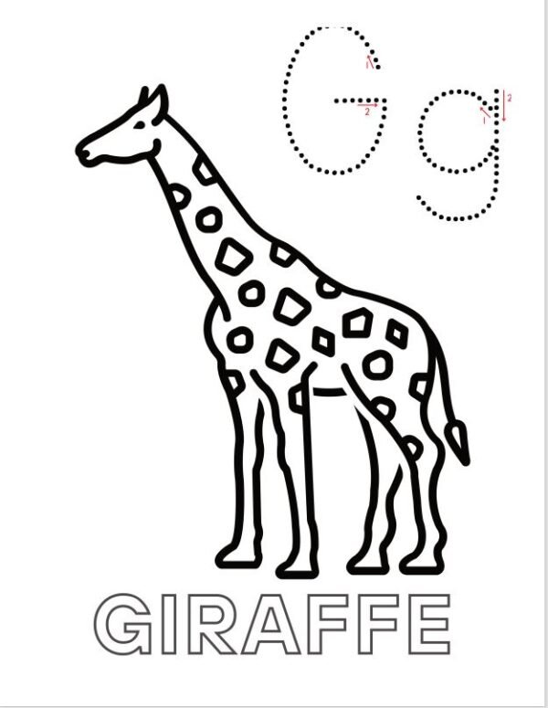 G Giraffee