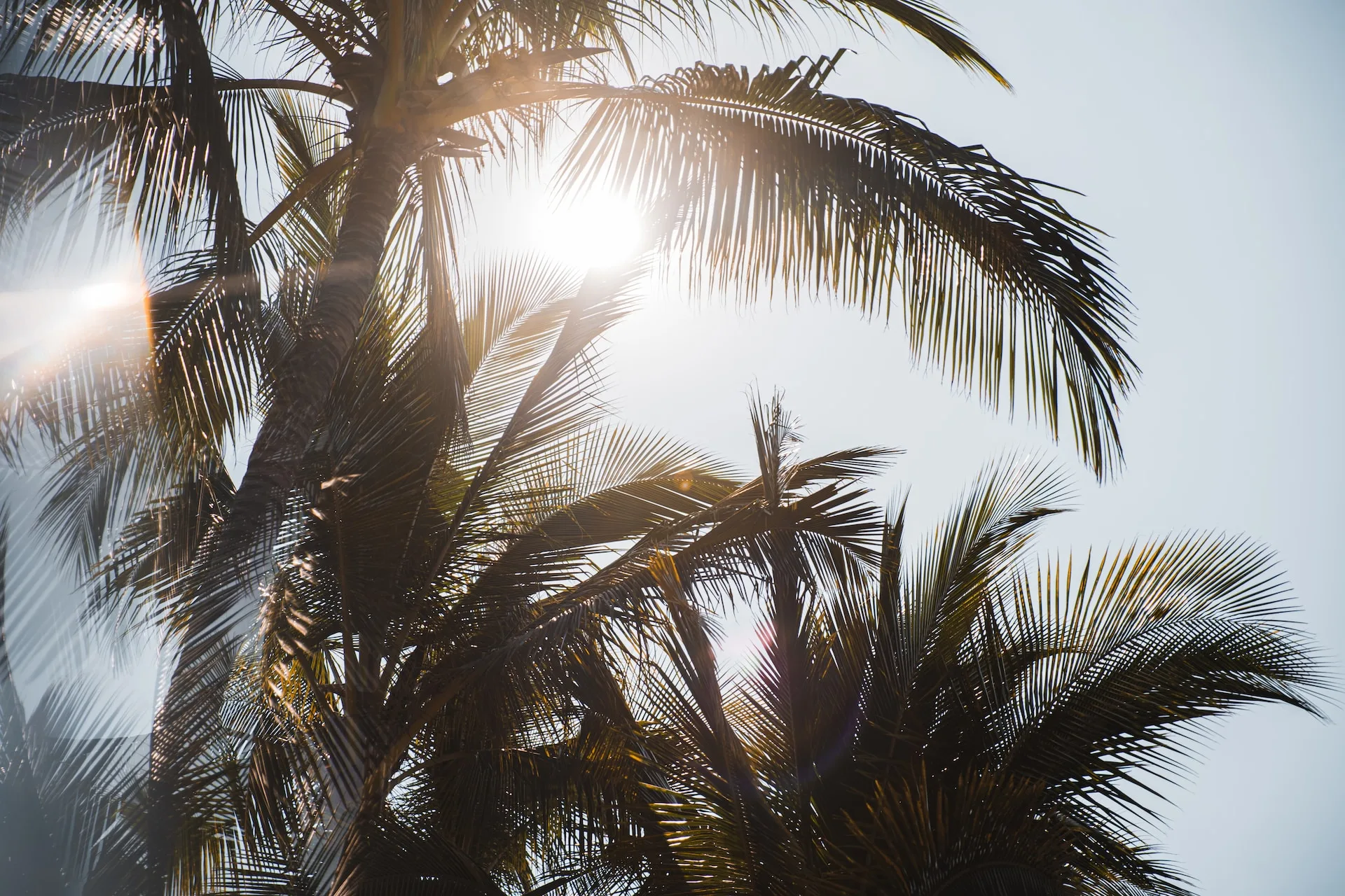 Anastase Maragos Ixejztpxalw Unsplash