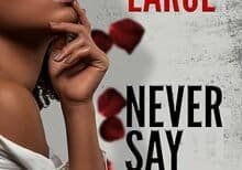 Never Say Never by Toni Larue’